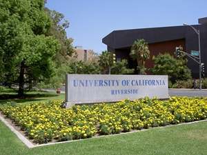 U.C. Riverside will soon have its own 3 megawatt solar panel installation. Photo: Wikimedia user Amerique.