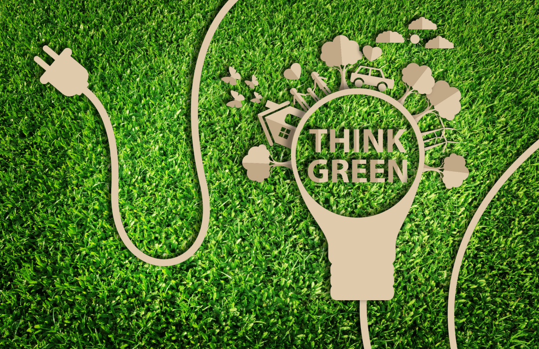 Invest in Renewable Energy