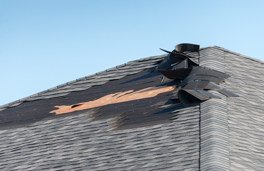 Damaged Shingles