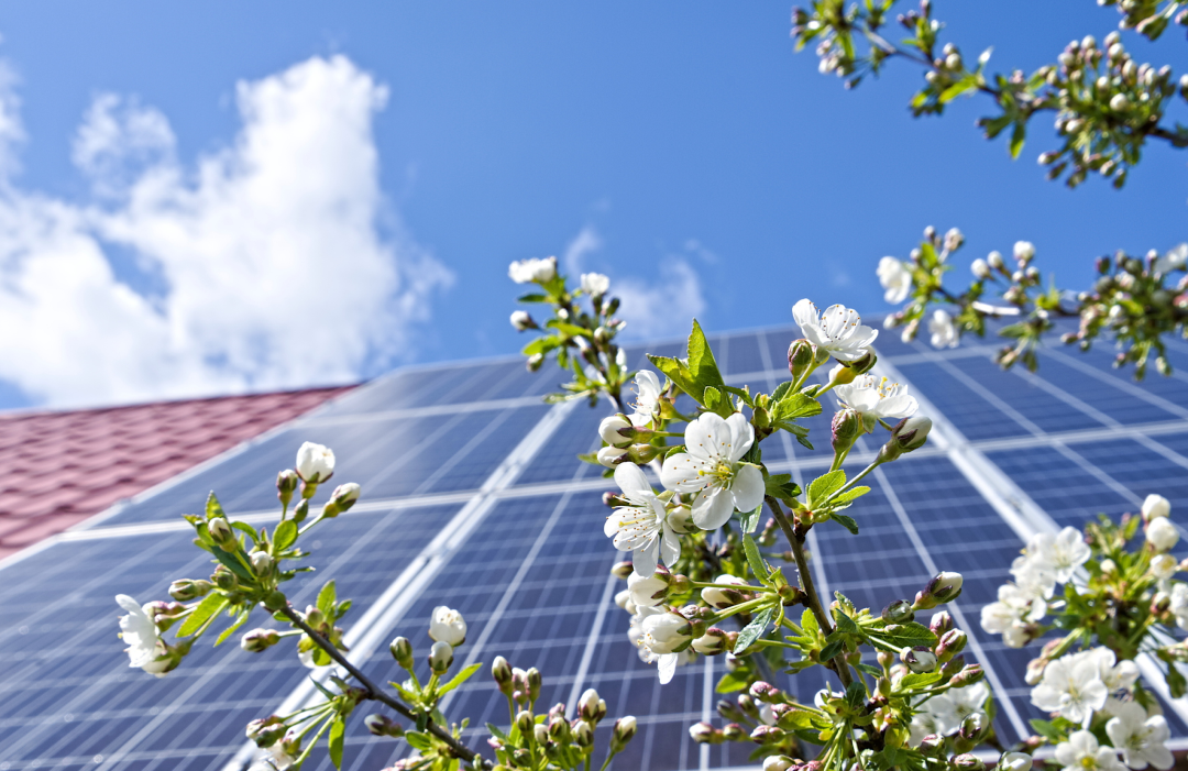 Solar installations in spring