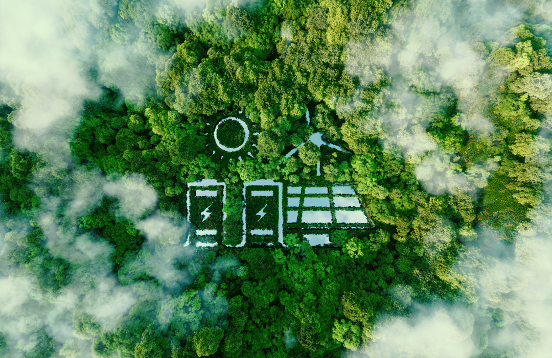 solar panels next to trees